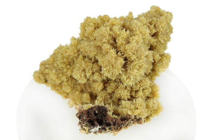 Mimetite Crystal Clusters on Limonitic Matrix - Mexico #256295